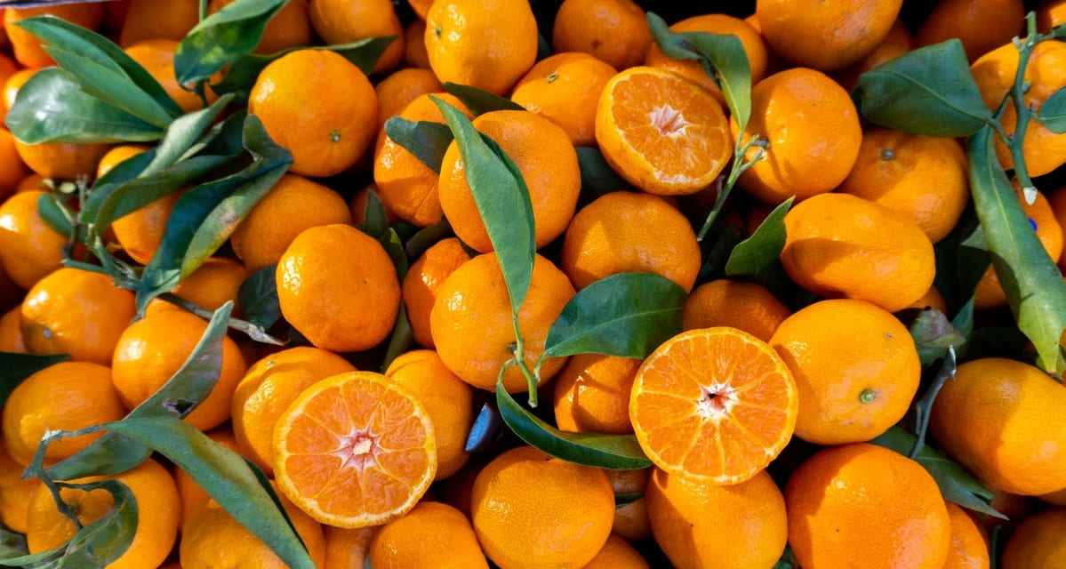 comprar naranjas tienda de fruta y verdura online